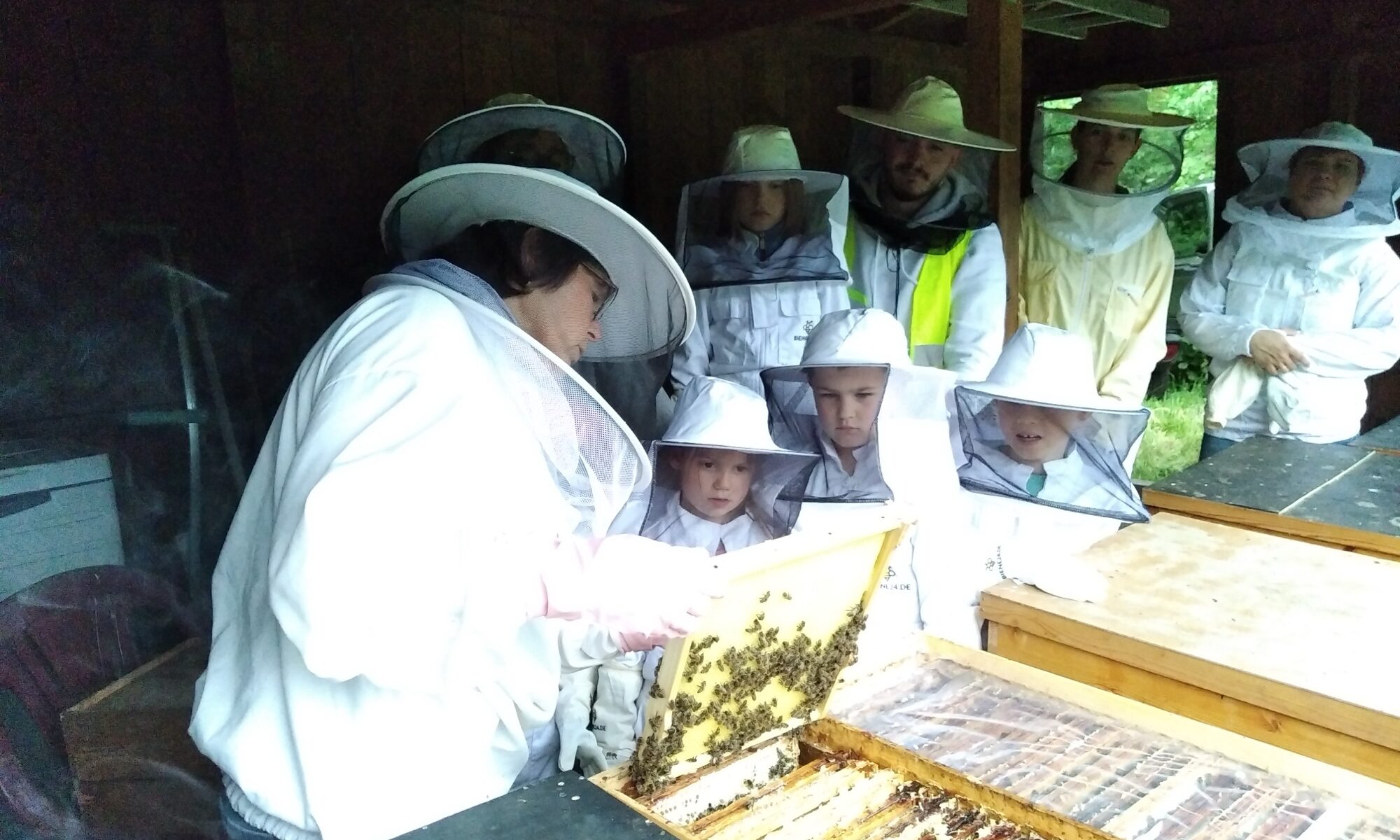 Besuch bei den Honigbienen